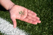 Das Granulat auf Kunstrasenplätzen gilt als Mikroplastik.