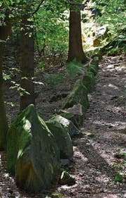 In Reih’ und Glied stehen die von Menschenhand angeordneten Steine auf dem Chilchberg. (Bilder: Andreas Faessler, Risch, 12. September 2019)