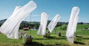 Ursula Hirsch zeigt im Freien die Installation «Tango Piazzolla». Bild: Sascha Erni