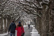 Der Carl-Spitteler-Quai entlang des Vierwaldstättersees in der Stadt Luzern wurde nach dem Schriftsteller benannt. Hier zeigt er sich im romantischen Winterkleid. (Bild: Pius Amrein, 3. Januar 2017)
