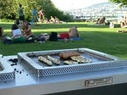 In Zürich gibt es bereits öffentliche Elektrogrills. Hier am Zürichhorn. (Bild: PD/Stadt Zürich)