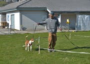 In Hundekursen wird unter anderm die Leinenorientierung oder der Rückruf trainiert. Im Bild ein Hundekurs in Buochs im Kanton Nidwalden. (Bild: Bettina Schuler/PD)