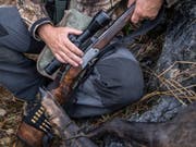 Im Tessin starb ein 51-jähriger Jäger durch einen Schuss, den ein anderer Jäger abgefeuert hatte. (Bild: Keystone/TI-PRESS/GABRIELE PUTZU)
