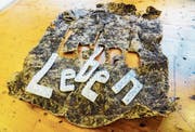 Christiane Lehmann: «Leben 4.0», Kornhausgalerie Ulm, 2018; Filz, Blätter, Torfspuren, Kunststoffröhren. (Bild: «Mauerläufer» Nr. 6, 2019/20)