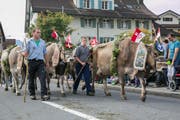 Alpabfahrt in Kerns im Jahr 2017. (Bild: André A. Niederberger)