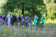 Die Möglichkeit von Führungen nutzten im Jahr 2018 rund 250 Gruppen. (Bild: PD)