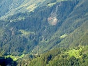 Der Borkenkäfer-Befall ist in Gurtnellen gut sichtbar. (Bild: Toni Zberg, 16.9.2019, Gurtnellen)