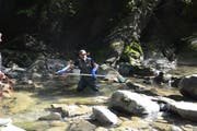 Im Hundwilertobel wird der Fischbestand wissenschaftlich untersucht. (Bild: ker)