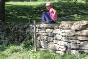 Trockenmauer im sanierten (rechts) und im nicht behandelten (links) Zustand.