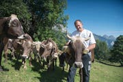 Viehschauchef Hans Schmid mit seinen Kühen, welche er auch an der Viehschau in Wolfhalden präsentieren wird. (Bild: Lisa Jenny)