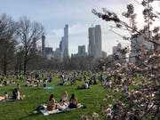 Mehr als 40 Millionen Menschen kommen jedes Jahr in den New Yorker Central Park - nur rund 2,5 Millionen schauen jedoch am Nordende vorbei. Dieses soll nun aufgewertet werden. (Bild: KEYSTONE/EPA/JASON SZENES)