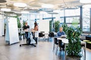 In den Räumen von Startfeld in St.Gallen ist ein Start-up-Ökosystem entstanden. Bild: Mareycke Frehner (St.Gallen, 20. Dezember 2018)