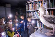 Im Naturmuseum können Kinder Möwen und andere Vögel im Schein der Taschenlampe aufspüren. (Bild: Ralph Ribi, 5.9.2015)