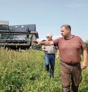 Lohnunternehmer Maurus Rosenberg (vorne) und Landi-Geschäftsführer Daniel Appert im Hanffeld in Kallern. Bild: Eddy Schambron