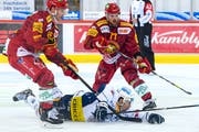 Der EVZ musste auch gegen die SCL Tigers unten durch. Hier wurde Neuzugang Jerome Bachofner gefällt. (Bild: Urs Lindt/freshfocus, Langnau, 20. September 2019)