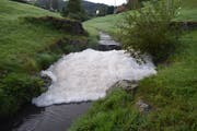 Die Gülle führte im Bach zu einer grossen Schaumbildung. (Bild: PD)