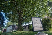 Quartierbewohner trauern um ihre «Wäsmeli-Eiche», die für ein Bauprojekt gefällt werden soll. (Bild: Boris Bürgisser, Luzern, 16. September 2019)