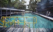 Tobias Webers «Männerbadi» (2018, Acryl, Ölpastel und Pastel auf Leinen). (Bild: PD)