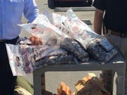 Die in Münz geraubte Summe von 6000 US-Dollar hatte ein Gewicht von knapp über 136 Kilogramm. (Bild: Bakersfield Police Departement)
