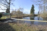 Der Stärkleweiher liegt in der Nähe der Schulhäuser Rosenau, Notker und Haldenbüel. (Bild: Hanspeter Schiess)