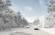 So könnte der Gewerbepark dereinst aussehen. Eine Strasse erschliesst die unterschiedlichen Baubereiche. (Bild: Baumschlager Hutter Partners)