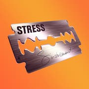 Stress Sincèrement (Universal). Erscheint am 4. Oktober. Tourstart am 6. Dezember.