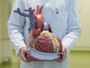 Forscher aus der Schweiz und Deutschland wollen durch eine grossangelegte Gen-Analyse herausfinden, welchen Anteil die Veranlagung bei Herzerkrankungen hat. (Bild: Keystone/DPA/SEBASTIAN KAHNERT)