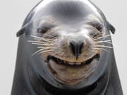 Forscher haben herausgefunden, warum man sich nicht selbst auskitzeln kann (Bild: Keystone/AP/ITSUO INOUYE)