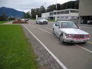 Der Autolenker geriet in die Rosenbeete. (Bild: Kantonspolizei Schwyz)