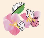 Ohne Bienen wird aus diesen Blüten kein Apfel.