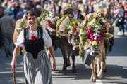 Familie Distel von der Alp Hintersteinetli auf dem Weg zurück ins Tal. (Bild: Boris Bürgisser)