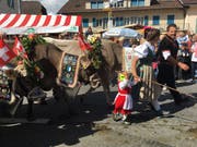 Die Familie Schmid marschiert bei strahlendem Sonnenschein durchs Dorf. (Bild: David von Moos)