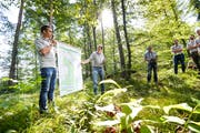 Der Förster Roger Hollenstein stellt die Idee hinter dem Posten «Unser Thurgauer Wald» an der Pressekonferenz vor. (Bild: Donato Caspari)
