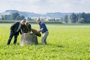Martin Christen, Dienststelle Landwirtschaft und Wald (von links), Roman Graf, Vogelwarte, und Jakob Lütolf, Präsident des Luzerner Bauernverbands, begutachten bei der Wauwiler Ebene einen Schacht. (Bild: Nadia Schärli, 3. September 2019)