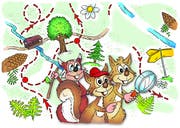 Drei putzige Eichhörnchen sind auf dem Entdeckerpfad Trubschachen auf dem ganzen Weg mit von der Partie.