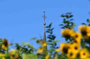 Die Kirche hat sich der Bewahrung der Schöpfung verschrieben. Das Projekt "Grüner Güggel" möchte dabei helfen. (PD)