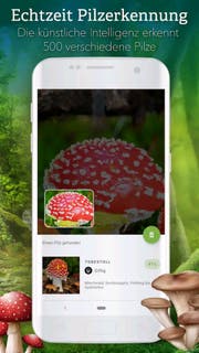 Die App «Pilze 123» hat gegenüber einem Lexikon sogar Vorteile. Bild: zvg