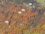 Der Streckenverlauf der Gondelbahn würde gemäss Stettler eine Rodung des Schutzwaldes erfordern. (Visu: René Stettler)