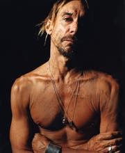 Iggy Pop. (Bild: pd)