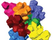Eine 3D-Rekonstruktion der Zelle einer Walnussschale. Die ineinander verzahnten «Vielgelappten Sklerenchymzellen» verleihen der Schale einer Walnuss ihre Härte. Der Mechanismus könnte für die Entwicklung extrem harter Materialien nutzbar gemacht werden. (Handout) (Bild: Keystone/APA/DEPT. F. NANOBIOTECHNOLOGIE/UNBEKANNT)