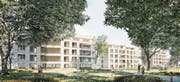 Die dreiteilige Wohnüberbauung «Riverenza» zwischen Murg und Waldeggstrasse ist das Siegerprojekt des letztjährigen Investorenwettbewerbs. (Bild: : PD/RLC Architekten AG)