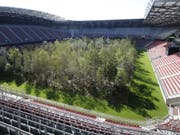 Was, wenn wieder mehr Bäume wachsen würden - sogar in einem Fussballstadion wie hier im österreichischen Klagenfurt? - Der Basler Klaus Littmann ist der Initiator des Projekts «For Forest». (Bild: KEYSTONE/APA/APA/GERT EGGENBERGER)