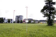 Die geplante Asylunterkunft in Baar wird nicht realisiert. Im Bild das Gelände, auf dem das Zentrum hätte entstehen sollen. (Bild: Werner Schelbert, Baar, 3. Juni 2016)