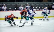 2017 gastierten die ZSC Lions in der Kunsteisbahn Frauenfeld. (Bild: Reto Martin)