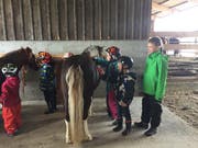 Wer ungeschönt in sein Spiegelbild sehen möchte, der sollte sich mit Pferden beschäftigen oder die eigenen Kinder beobachten. (Bild: Archiv Tagblatt)