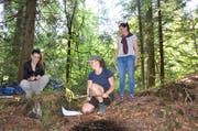 Am Kurstag erzählten die Teilnehmerinnen eine Waldgeschichte mit Konfliktlösung.