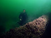 Eine alte, mit Muscheln bedeckte Wasserleitung ist nur eines der Dinge, die man im Bodensee entdecken kann. (Bild: Richard Schröter)