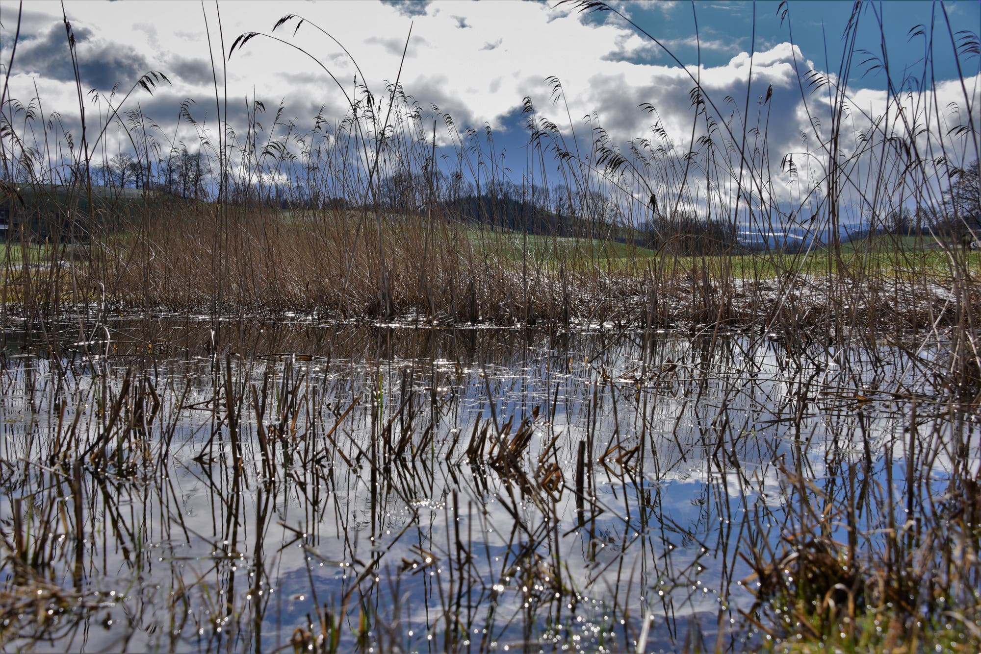 Gewichtsverlust Stein in schmutziges Wasser getaucht Gewichtsverlust Stein in schmutziges Wasser getaucht