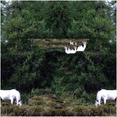 Schimmelspiegelung am Hang, beobachtet auf einer Wanderung. (Bild: Stefan Kunz (Sils Maria in Richtung Malojapass, 30. September 2018))