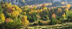Indian Summer im Alpstein. (Bild: Fredy Zünd)